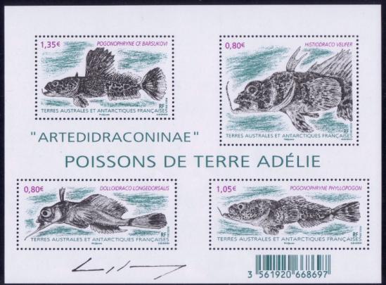 01 01 01 2016 poisson de terre adelie