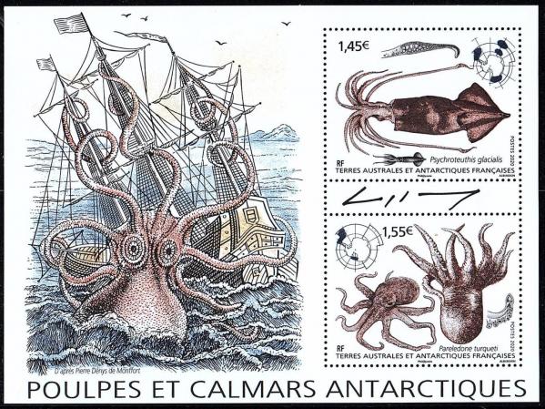 01 01 01 2020 poulpes et calmars antartiques 2