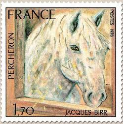 01 1982 07 01 1978 percheron j birr