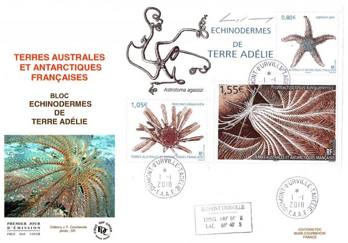 02 02 01 2018 echinodermes de terre adelie