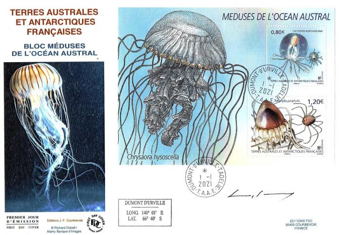 02 f963 01 01 2021 meduses de l ocean austral 1
