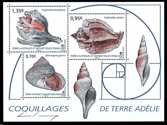 03 02 01 2019 coquillage de terre adelie