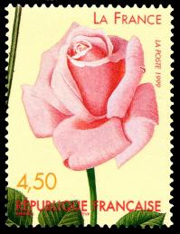 03 3250 29 05 1999 rose la france 1967