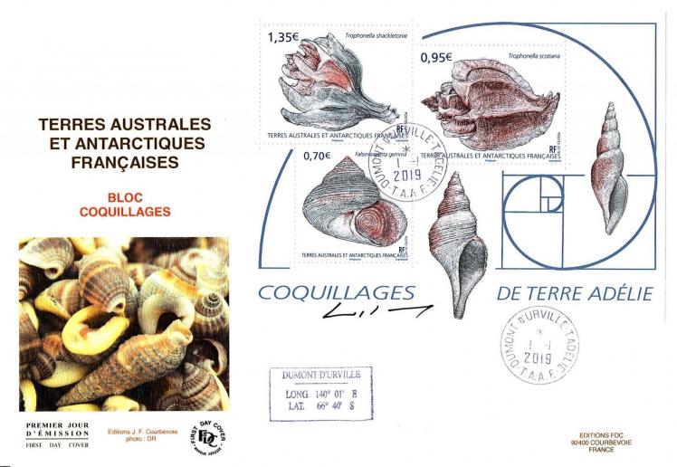 04 02 01 2019 coquillage de terre adelie