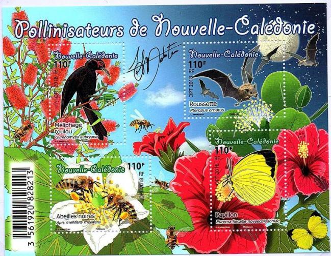 05 08 11 2018 1345f pollinisateur de nouvelle caledonie