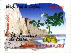 053 302 25 04 2009 pomme de terre