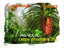 067 311 25 04 2009 flore du sud l awara guyane