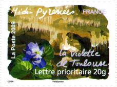 068 312 25 04 2009 flore du sud la violette de toulouse midi pyrenees