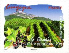 071 314 25 04 2009 flore du sud le cassis et vignobles bourgogne