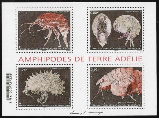 1 01 01 2017 amphipodes de terre adelie 1