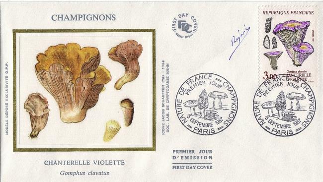 11 2489 05 09 1987 chanterelle violette