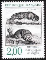 11 2539 1988 loutre