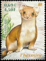 13 3384 21 04 2001 hermine