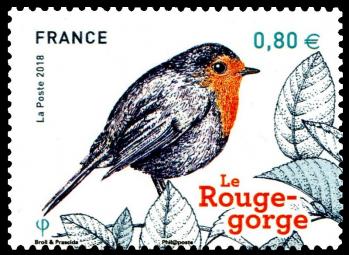 16 10 06 2018 les oiseaux de nos jardins rouge gorge