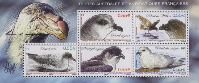 172 531 532 2009 petrels 2