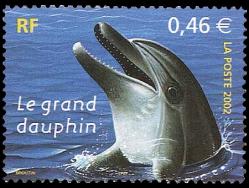 18 3486 05 06 2002 animaux marins