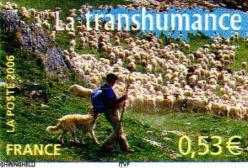 18 3890 25 03 2006 transhumance