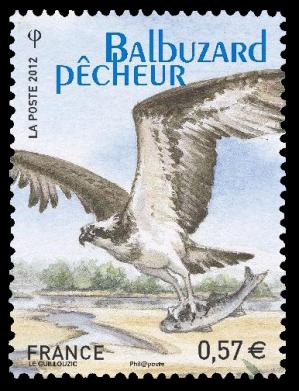 19 4658 12 05 2012 lpo balbuzard pecheur