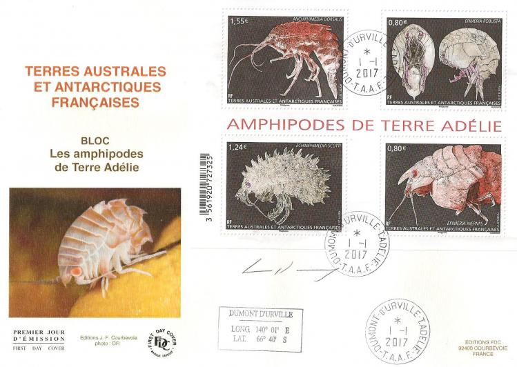 2 01 01 2017 amphipodes de terre adelie