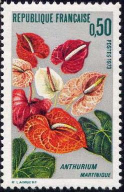 20 1738 1973 anthurium de la martinique 1