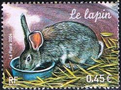 25 3662 24 04 2004 lapin