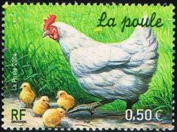 28 3663 24 04 2004 poule