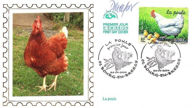 29 3663 24 04 2004 poule