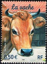 31 3664 24 04 2004 vache