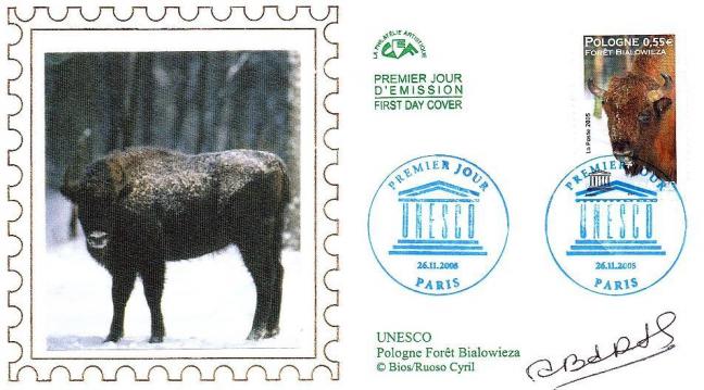 39 132 26 11 2005 foret de bialowieza pologne