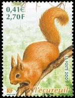5 3381 21 04 2001 ecureuil