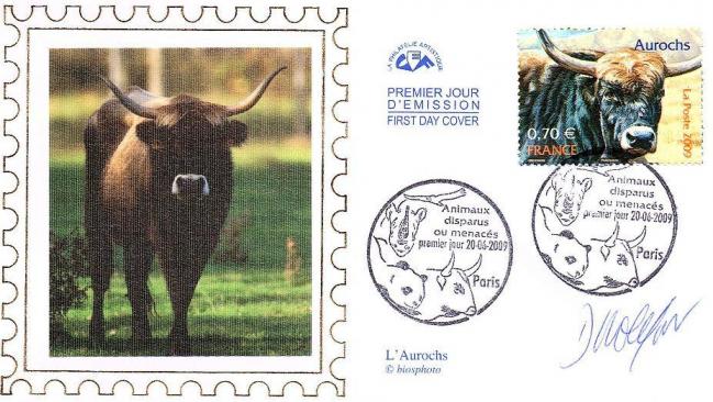 56 4374 20 06 2009 aurochs1