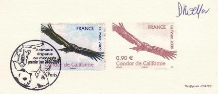 58 4375 20 06 2009 condor de californie