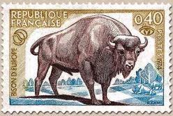 65 1795 25 05 1974 bison d europe1