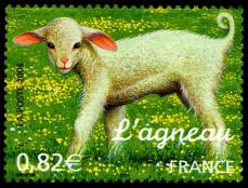 72 3900 22 04 2006 agneau