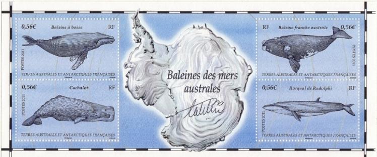 80 587 a 590 01 01 2011 baleine