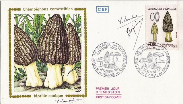 82 2490 05 09 1987 morille conique