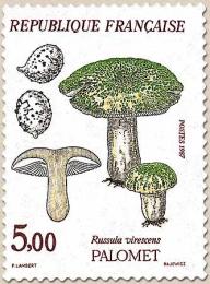 83 2491 05 09 1987 palomet