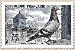 16 1091 12 01 1957 pigeon 1